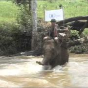 WFP Logistics - Delivering the food