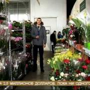 Цветы для таможни